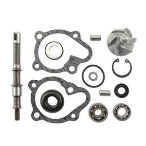 Wasserpumpen-Reparatursatz Vicma 11625