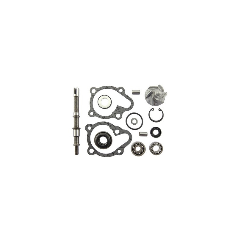 Vicma 11625 Wasserpumpen-Reparatursatz