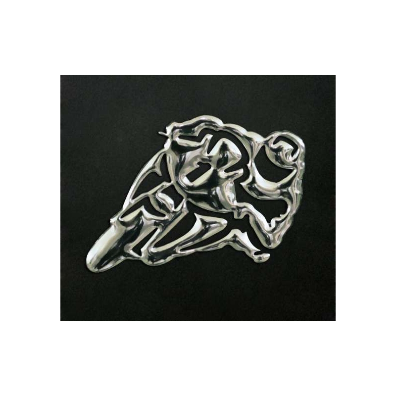 Aufkleber 3D Biker