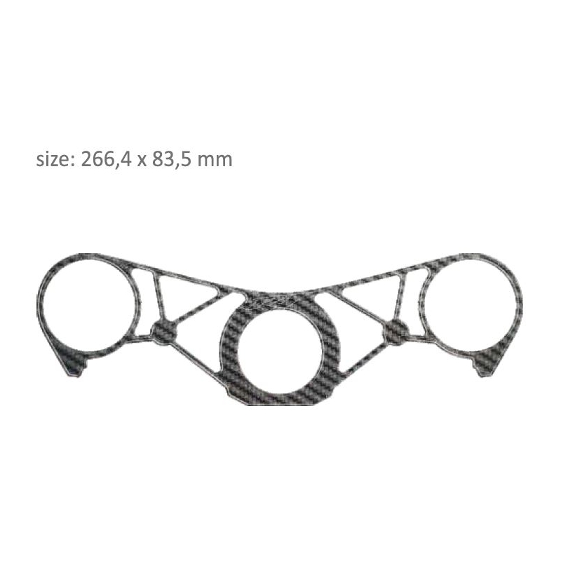 Carbon Schutzbrille Druck - Yamaha R1 (09-11) Ausverkauf