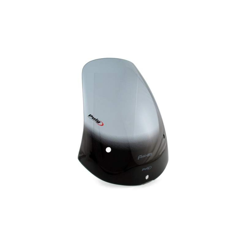 Plexiglas für Puig-BMW F650 GS (00-03) TOURING