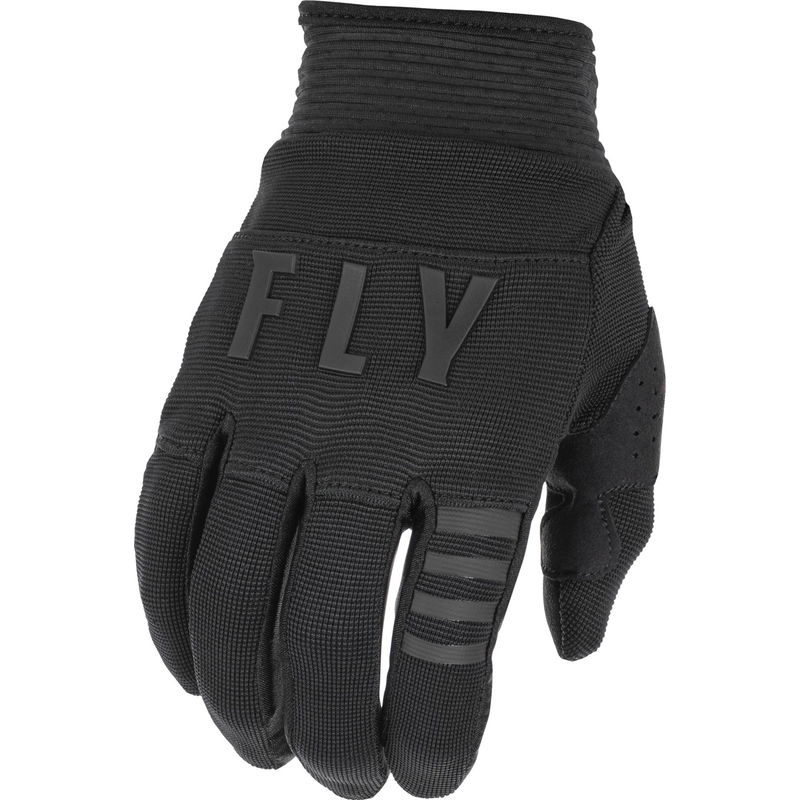 Motocross-Handschuhe FLY Racing F-16 2022 schwarz
