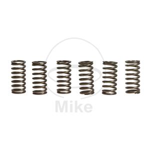Clutch spring kit EBC CSK111 6