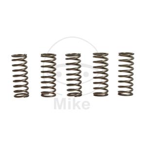 Clutch spring kit EBC CSK156 5