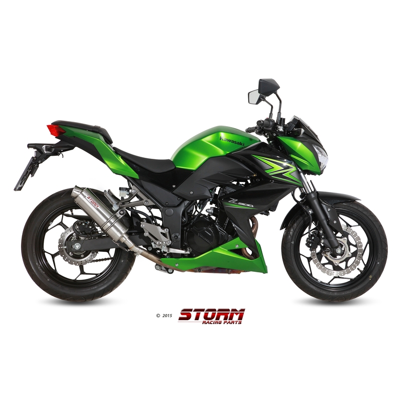 Auspuffendstück STORM GP Edelstahl für KAWASAKI Z 300 2015-2016, KAWASAKI EX Ninja 300 2013-2016