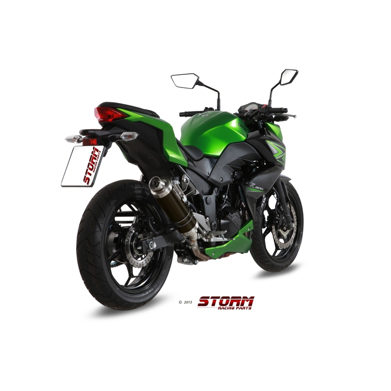 Auspuffendstück STORM GP Steel black für KAWASAKI Z 300 2015-2016, KAWASAKI EX Ninja 300 2013-2016