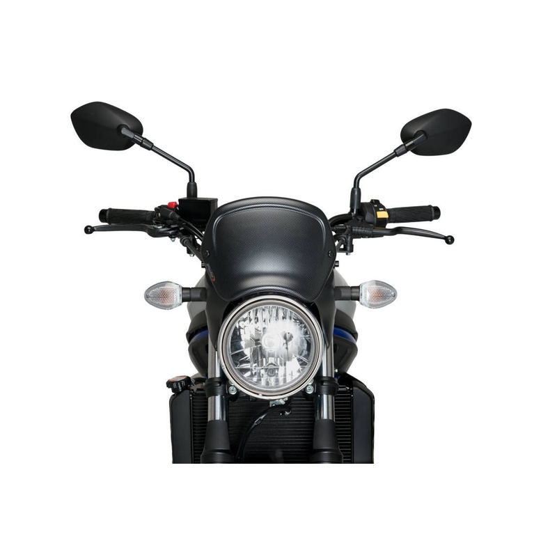 Windschirm PUIG FRONTAL PLATE carbon look