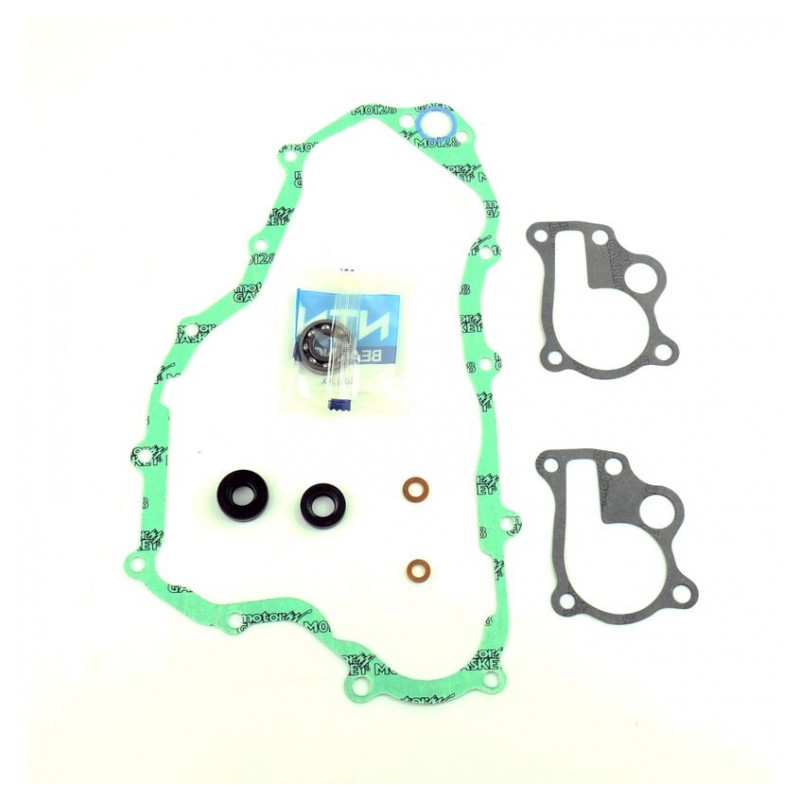 Wasserpumpedichtung Satz ATHENA with bearings