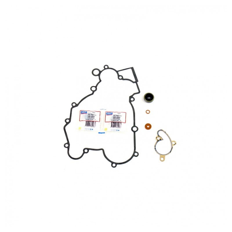 Wasserpumpedichtung Satz ATHENA with bearings