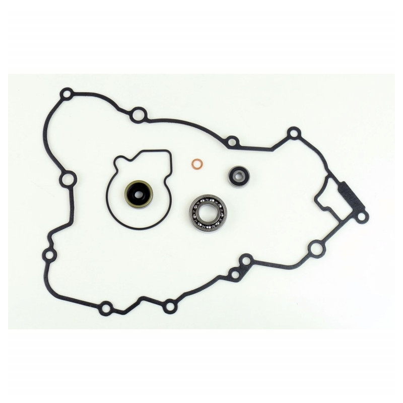 Wasserpumpedichtung Satz ATHENA with bearings
