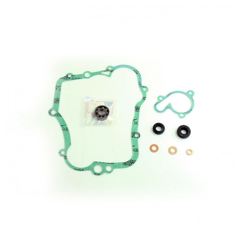 Wasserpumpedichtung Satz ATHENA with bearings
