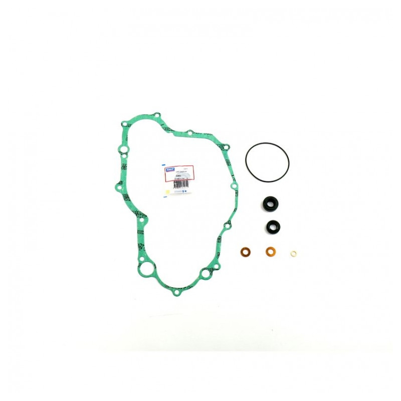 Wasserpumpedichtung Satz ATHENA with bearings