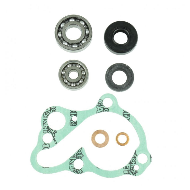 Wasserpumpedichtung Satz ATHENA