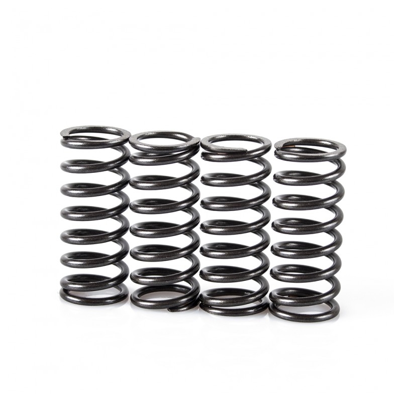 Kupplungsfedersatz MOTION STUFF