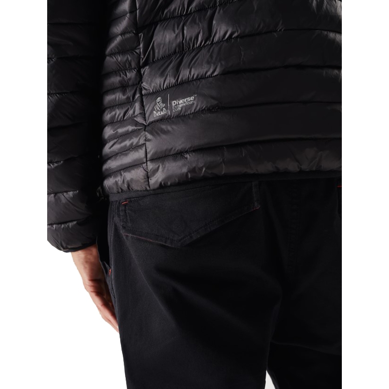 Herren Steppjacke DAKAR Pegun schwarz Ausverkauf