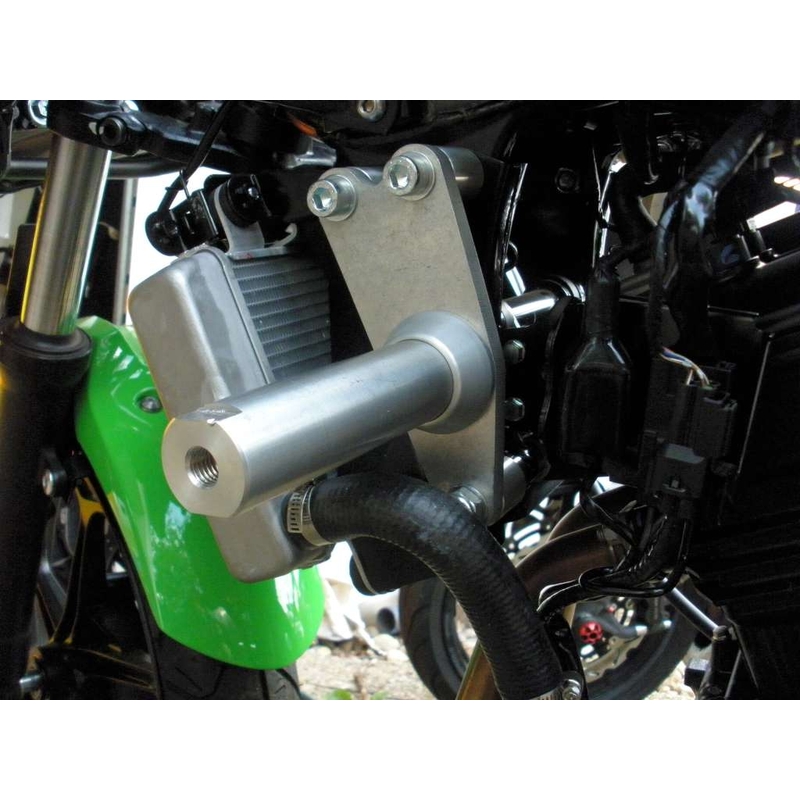Kawasaki ZX-300R Pfeil