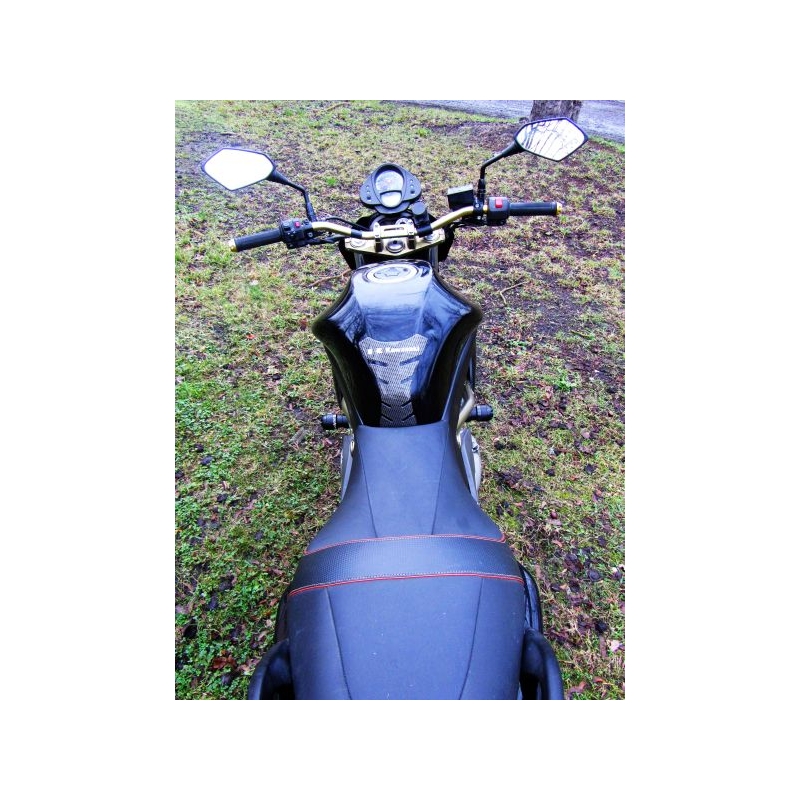 Kawasaki ER-6N (06-12) Klassisch
