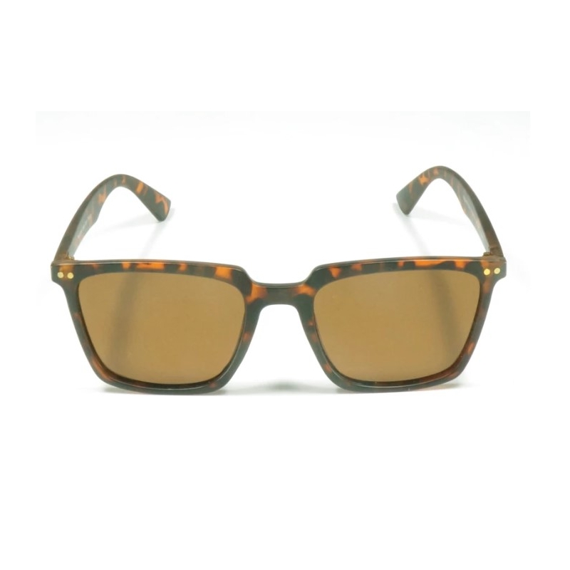 Brýle COYOTE Vision Fashion 2.214