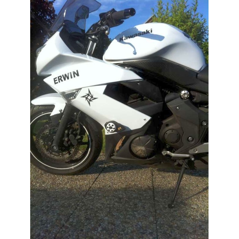 Kawasaki ER-6F (08-12) Pfeil