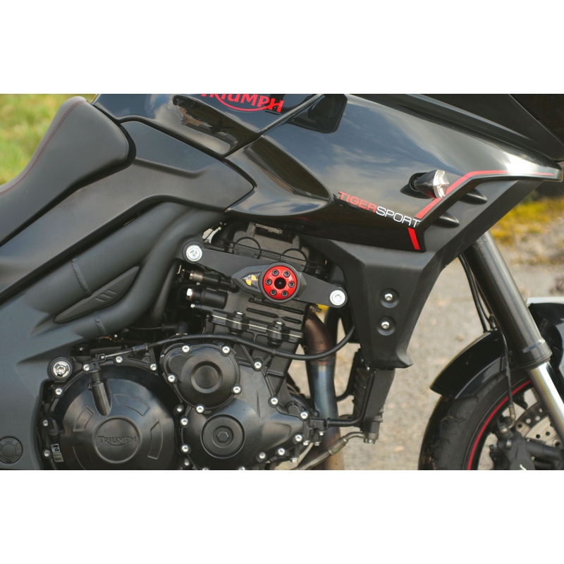 Triumph TIGER SPORT 1050 (13-) Klassiker