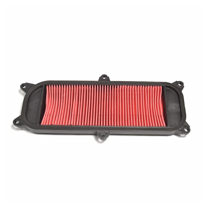 Luftfilter ATHENA für KYMCO People 250 / S 2006-2007