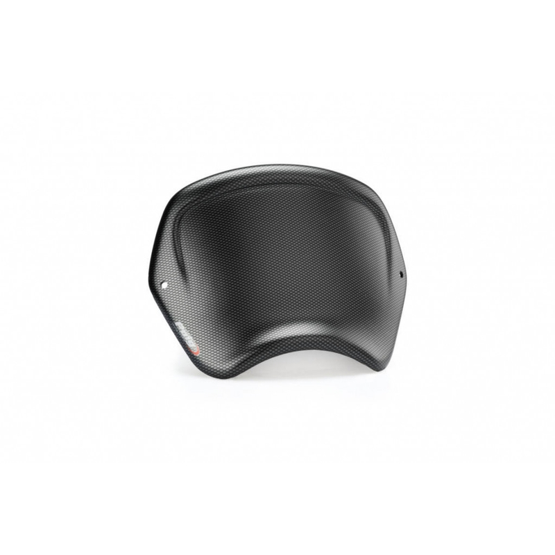 Windschirm PUIG FRONTAL PLATE carbon look