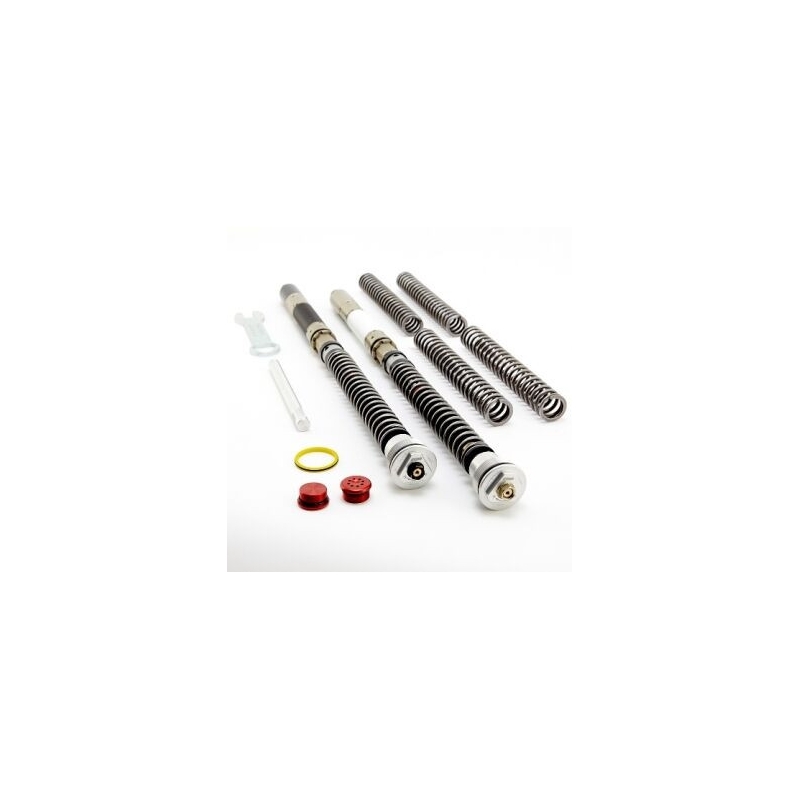 Cartridge přední vidlice K-TECH DDS