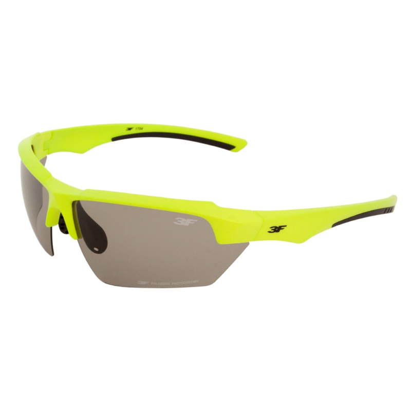 Schutzbrille 3F Version 1704