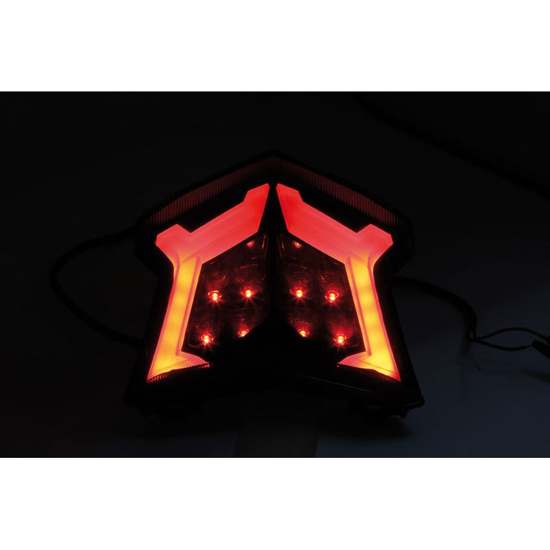Highsider Smart LED Rücklicht für Kawasaki Z 900, Z 650, Ninja 650 Motorräder, Bj. 17-