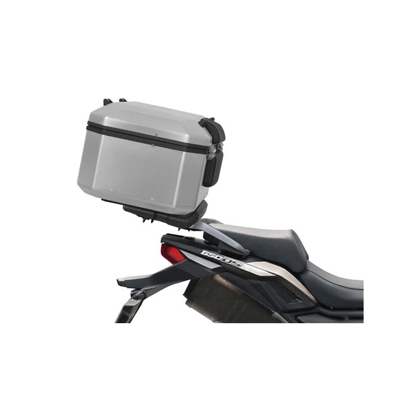 Montagesatz Top Master SHAD