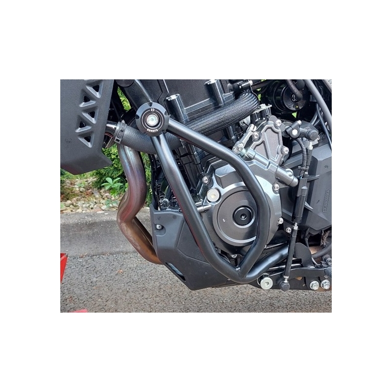 Motor Schutzrahmen RDMOTO schwarz (with protectors)