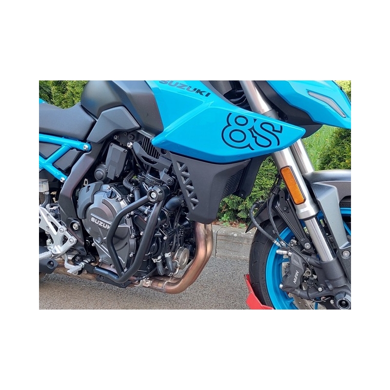 Motor Schutzrahmen RDMOTO schwarz (with protectors)
