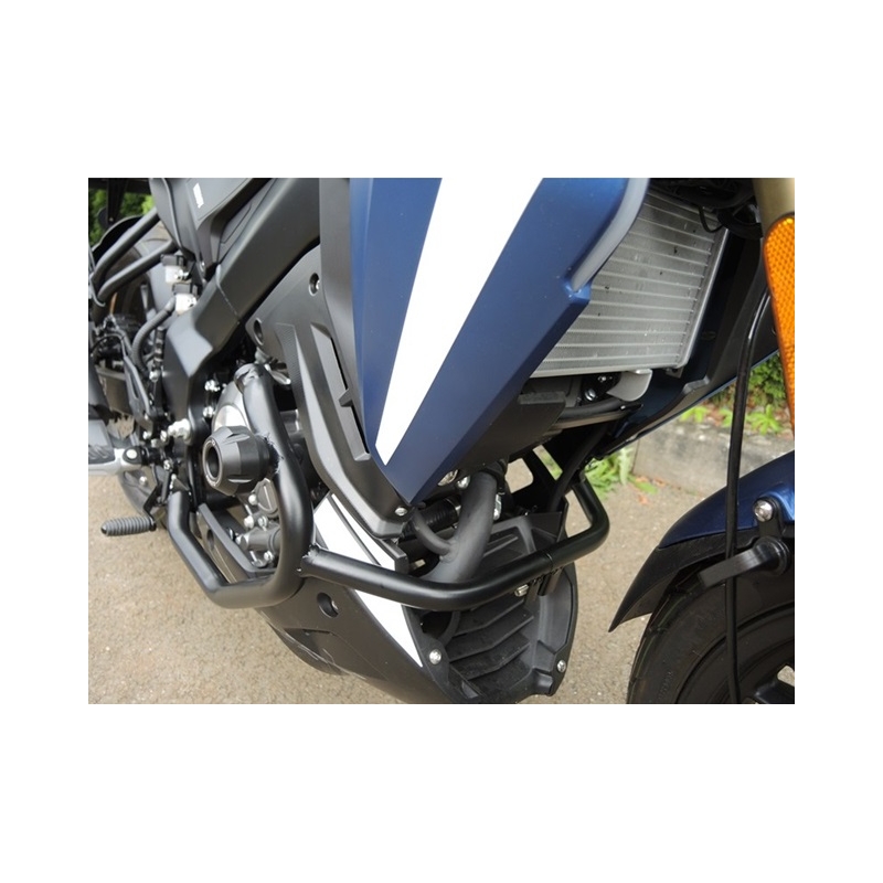 Motor Schutzrahmen RDMOTO schwarz (with protectors)