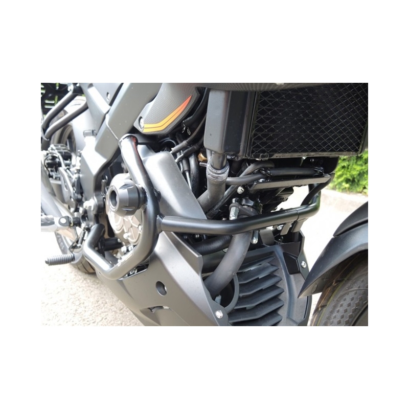 Motor Schutzrahmen RDMOTO schwarz (with protectors)