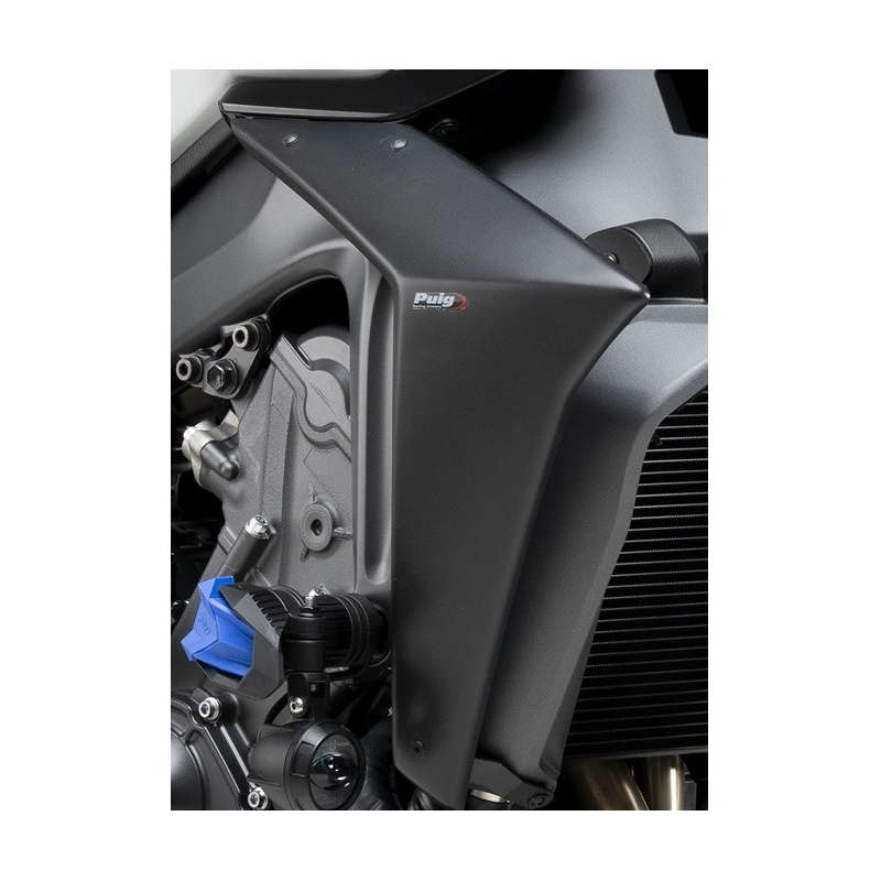 Seiten Spoiler PUIG NAKED carbon look
