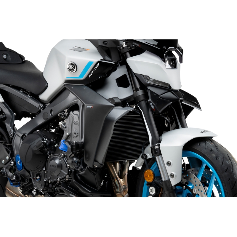 Seiten Spoiler PUIG NAKED carbon look
