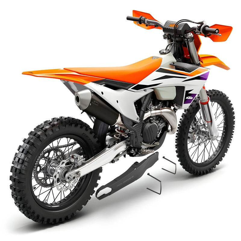 Swingarm Protectors POLISPORT schwarz