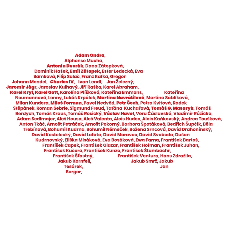 Funktions-T-Shirt nanosilver® HOME weiß