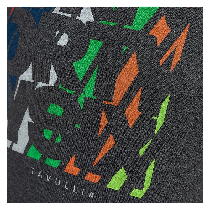 T-shirt VR46 Valentino Rossi VRFORTYSIX grau