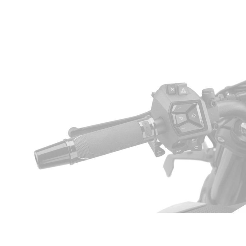 Handgriffe PUIG REVVING gold 123mm