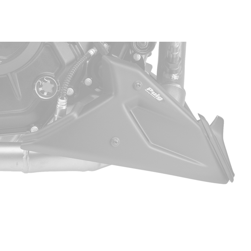 Engine spoiler PUIG carbon look