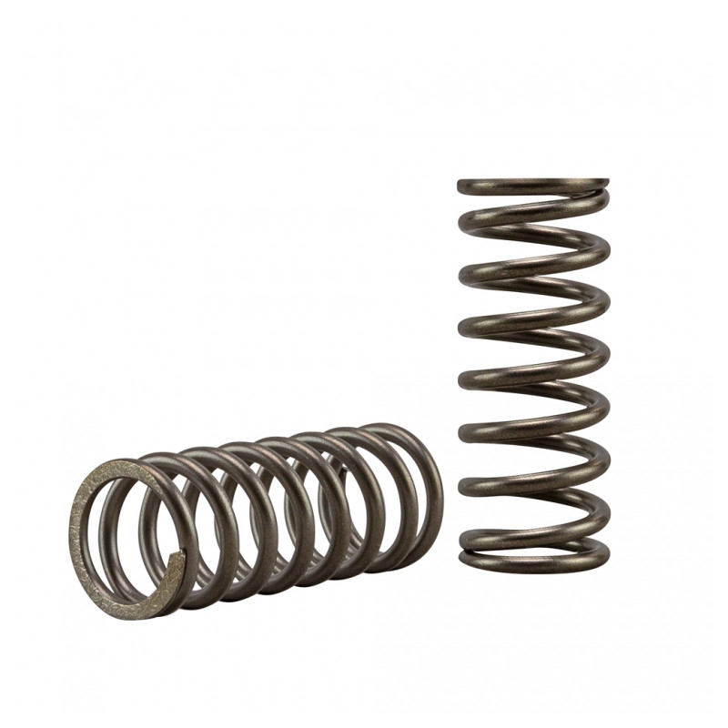 Clutch spring kit EBC diaphragm type