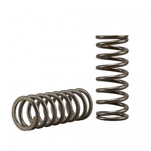 Clutch spring kit EBC CSK269 3