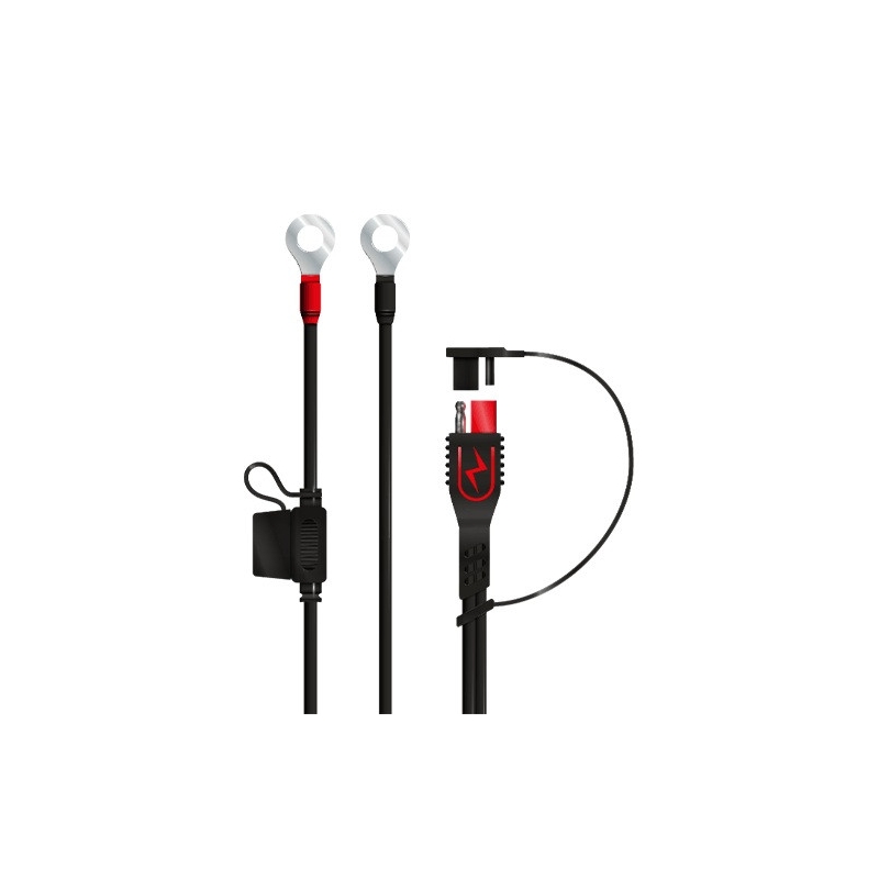 Fused ring terminal leadset BS-BATTERY