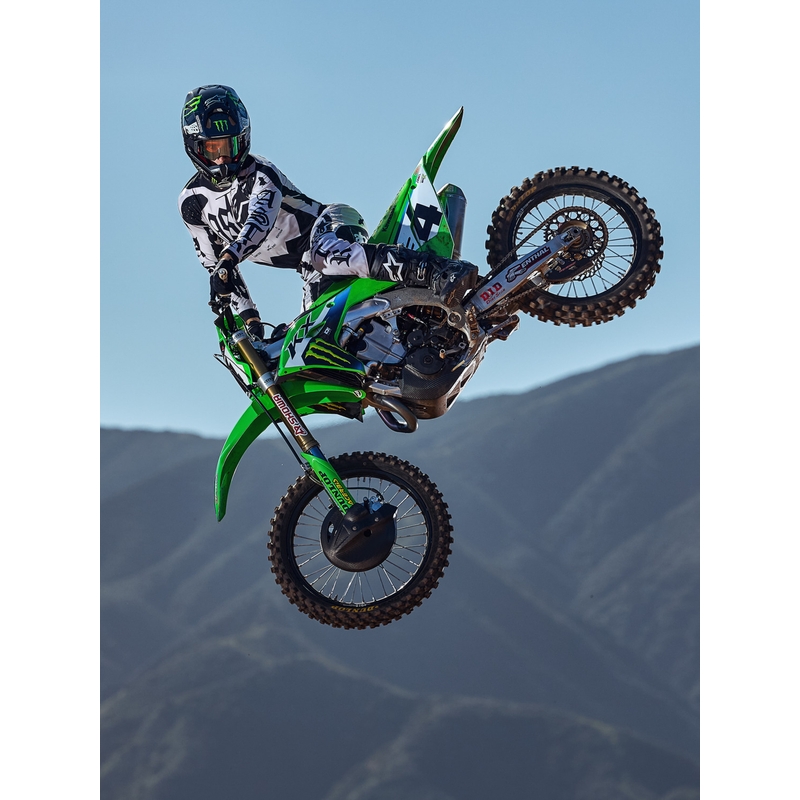 Alpinestars Techstar Motocross-Trikot in limitierter Auflage, Wolf Dust, Sand-Schwarz
