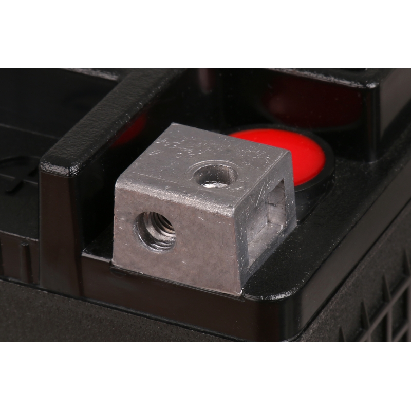 Werkaktivierte Motorradbatterie BS-BATTERY SLA MAX
