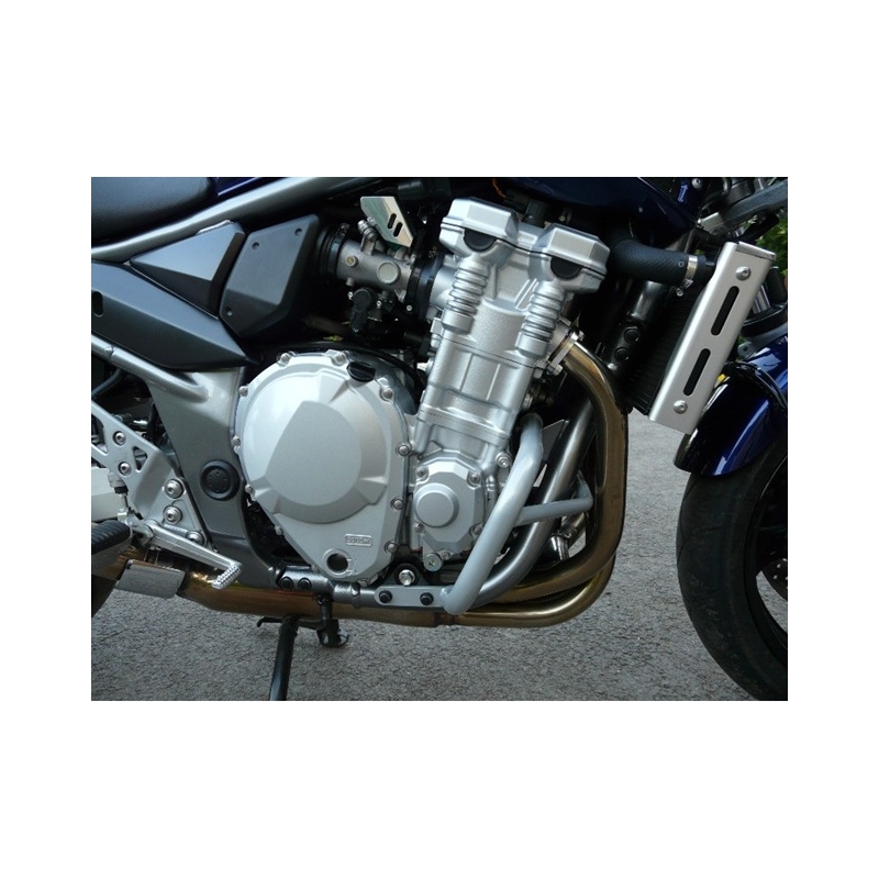Motor Schutzrahmen RDMOTO silber