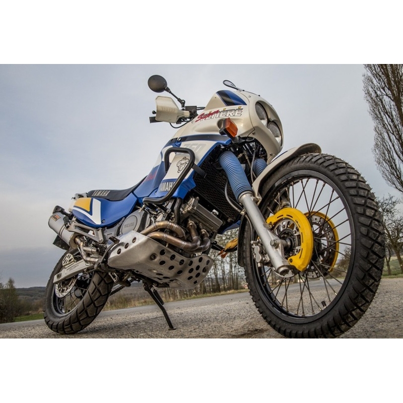 Motor Schutzrahmen RDMOTO schwarz matt