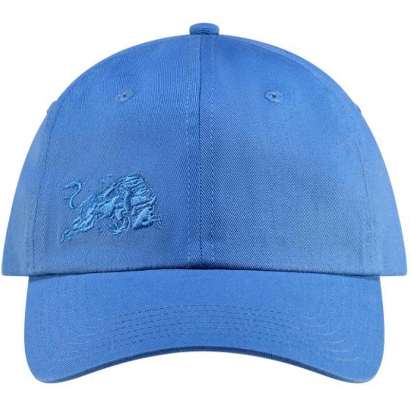 Red Bull Racing Core Cap blau