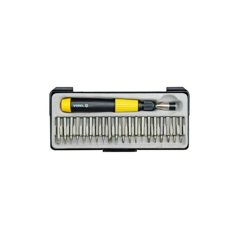 Uhrmacherschraubendreher + Bits 21 Stück